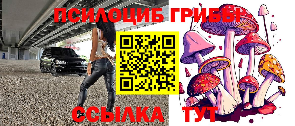 Североуральск  Галлюциногенные грибы Cubensis  Галлюциногенные грибы прущие грибы  Вход с VPN 