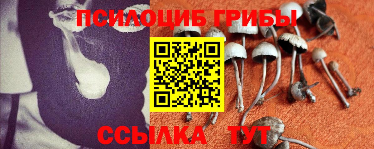 Галлюциногенные грибы мицелий Североуральск
